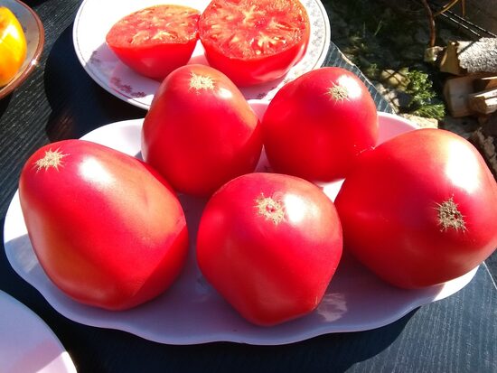 Розовый дар